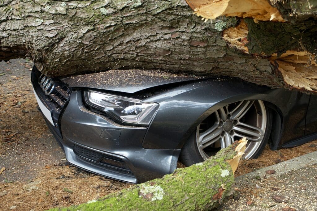 A Car Crushed by a Broken Tree